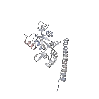 12535_7nrd_LI_v1-0
Structure of the yeast Gcn1 bound to a colliding stalled 80S ribosome with MBF1, A/P-tRNA and P/E-tRNA
