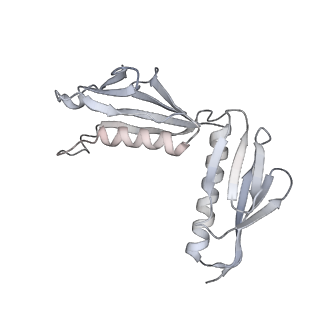 12535_7nrd_LK_v1-0
Structure of the yeast Gcn1 bound to a colliding stalled 80S ribosome with MBF1, A/P-tRNA and P/E-tRNA