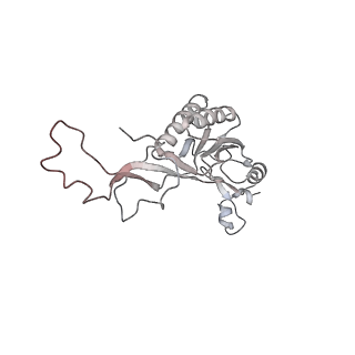 12535_7nrd_LL_v1-0
Structure of the yeast Gcn1 bound to a colliding stalled 80S ribosome with MBF1, A/P-tRNA and P/E-tRNA