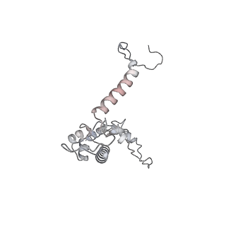 12535_7nrd_LN_v1-0
Structure of the yeast Gcn1 bound to a colliding stalled 80S ribosome with MBF1, A/P-tRNA and P/E-tRNA