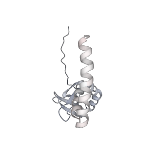 12535_7nrd_LO_v1-0
Structure of the yeast Gcn1 bound to a colliding stalled 80S ribosome with MBF1, A/P-tRNA and P/E-tRNA