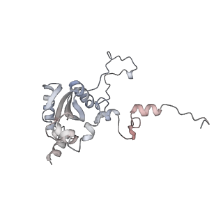 12535_7nrd_LP_v1-0
Structure of the yeast Gcn1 bound to a colliding stalled 80S ribosome with MBF1, A/P-tRNA and P/E-tRNA