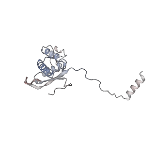 12535_7nrd_LR_v1-0
Structure of the yeast Gcn1 bound to a colliding stalled 80S ribosome with MBF1, A/P-tRNA and P/E-tRNA