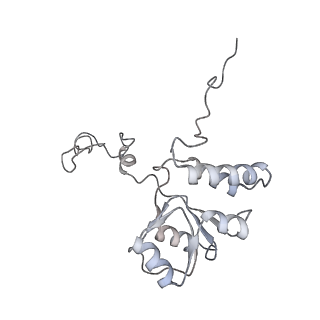 12535_7nrd_LS_v1-0
Structure of the yeast Gcn1 bound to a colliding stalled 80S ribosome with MBF1, A/P-tRNA and P/E-tRNA