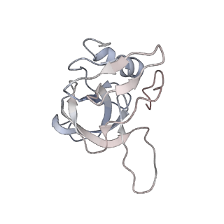 12535_7nrd_LX_v1-0
Structure of the yeast Gcn1 bound to a colliding stalled 80S ribosome with MBF1, A/P-tRNA and P/E-tRNA