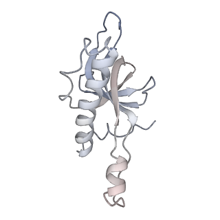 12535_7nrd_Lb_v1-0
Structure of the yeast Gcn1 bound to a colliding stalled 80S ribosome with MBF1, A/P-tRNA and P/E-tRNA