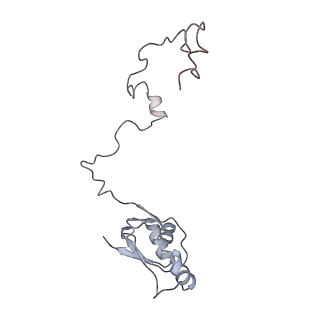 12535_7nrd_Lc_v1-0
Structure of the yeast Gcn1 bound to a colliding stalled 80S ribosome with MBF1, A/P-tRNA and P/E-tRNA