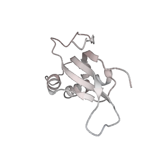 12535_7nrd_Lf_v1-0
Structure of the yeast Gcn1 bound to a colliding stalled 80S ribosome with MBF1, A/P-tRNA and P/E-tRNA