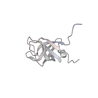 12535_7nrd_Lh_v1-0
Structure of the yeast Gcn1 bound to a colliding stalled 80S ribosome with MBF1, A/P-tRNA and P/E-tRNA
