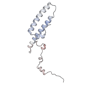 12535_7nrd_Lj_v1-0
Structure of the yeast Gcn1 bound to a colliding stalled 80S ribosome with MBF1, A/P-tRNA and P/E-tRNA