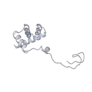 12535_7nrd_Lk_v1-0
Structure of the yeast Gcn1 bound to a colliding stalled 80S ribosome with MBF1, A/P-tRNA and P/E-tRNA