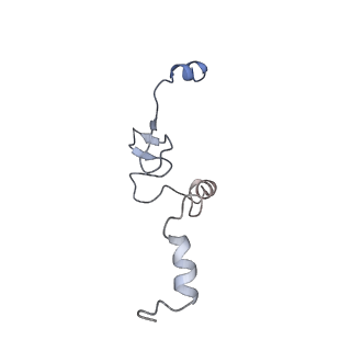 12535_7nrd_Ll_v1-0
Structure of the yeast Gcn1 bound to a colliding stalled 80S ribosome with MBF1, A/P-tRNA and P/E-tRNA