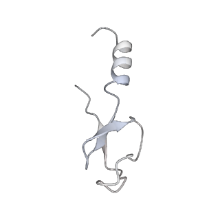 12535_7nrd_Lo_v1-0
Structure of the yeast Gcn1 bound to a colliding stalled 80S ribosome with MBF1, A/P-tRNA and P/E-tRNA
