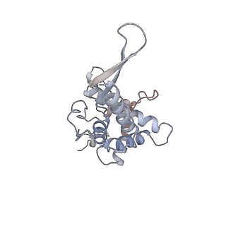 12535_7nrd_SB_v1-0
Structure of the yeast Gcn1 bound to a colliding stalled 80S ribosome with MBF1, A/P-tRNA and P/E-tRNA