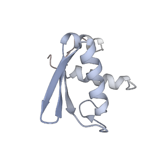 12535_7nrd_SC_v1-0
Structure of the yeast Gcn1 bound to a colliding stalled 80S ribosome with MBF1, A/P-tRNA and P/E-tRNA