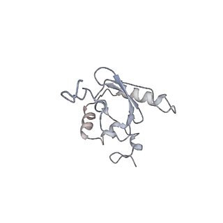 12535_7nrd_SE_v1-0
Structure of the yeast Gcn1 bound to a colliding stalled 80S ribosome with MBF1, A/P-tRNA and P/E-tRNA