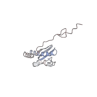 12535_7nrd_SF_v1-0
Structure of the yeast Gcn1 bound to a colliding stalled 80S ribosome with MBF1, A/P-tRNA and P/E-tRNA