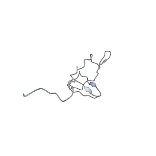 12535_7nrd_SN_v1-0
Structure of the yeast Gcn1 bound to a colliding stalled 80S ribosome with MBF1, A/P-tRNA and P/E-tRNA