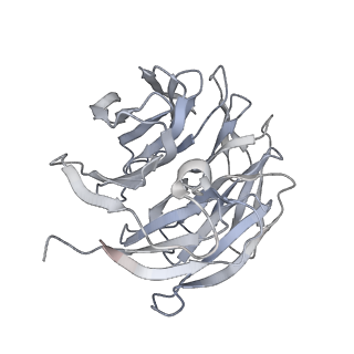 12535_7nrd_SO_v1-0
Structure of the yeast Gcn1 bound to a colliding stalled 80S ribosome with MBF1, A/P-tRNA and P/E-tRNA