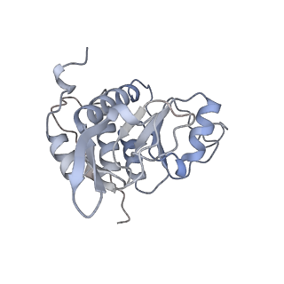 12535_7nrd_SP_v1-0
Structure of the yeast Gcn1 bound to a colliding stalled 80S ribosome with MBF1, A/P-tRNA and P/E-tRNA