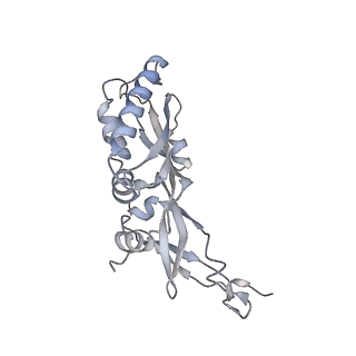 12535_7nrd_SQ_v1-0
Structure of the yeast Gcn1 bound to a colliding stalled 80S ribosome with MBF1, A/P-tRNA and P/E-tRNA
