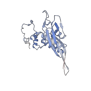 12535_7nrd_SR_v1-0
Structure of the yeast Gcn1 bound to a colliding stalled 80S ribosome with MBF1, A/P-tRNA and P/E-tRNA
