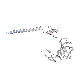12535_7nrd_ST_v1-0
Structure of the yeast Gcn1 bound to a colliding stalled 80S ribosome with MBF1, A/P-tRNA and P/E-tRNA