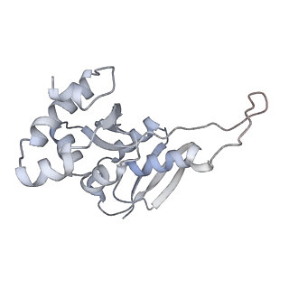12535_7nrd_SU_v1-0
Structure of the yeast Gcn1 bound to a colliding stalled 80S ribosome with MBF1, A/P-tRNA and P/E-tRNA