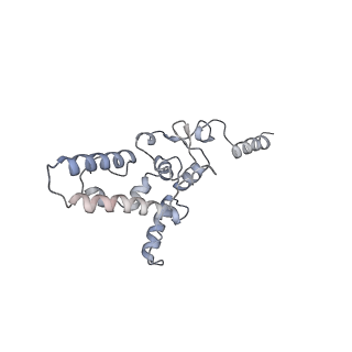 12535_7nrd_SW_v1-0
Structure of the yeast Gcn1 bound to a colliding stalled 80S ribosome with MBF1, A/P-tRNA and P/E-tRNA