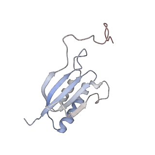 12535_7nrd_SZ_v1-0
Structure of the yeast Gcn1 bound to a colliding stalled 80S ribosome with MBF1, A/P-tRNA and P/E-tRNA