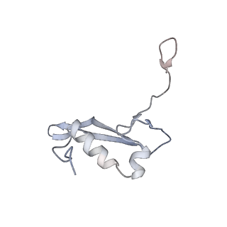 12535_7nrd_Sa_v1-0
Structure of the yeast Gcn1 bound to a colliding stalled 80S ribosome with MBF1, A/P-tRNA and P/E-tRNA