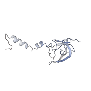 12535_7nrd_Sc_v1-0
Structure of the yeast Gcn1 bound to a colliding stalled 80S ribosome with MBF1, A/P-tRNA and P/E-tRNA