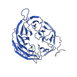 12546_7nri_B_v1-2
Structure of the darobactin-bound E. coli BAM complex (BamABCDE)