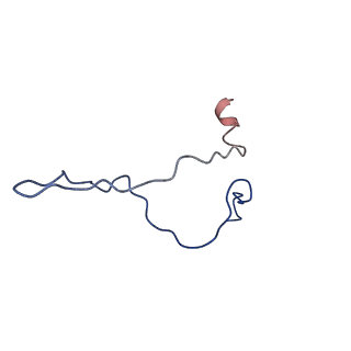 12546_7nri_C_v1-2
Structure of the darobactin-bound E. coli BAM complex (BamABCDE)