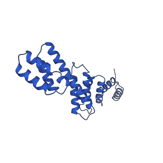 12546_7nri_D_v1-2
Structure of the darobactin-bound E. coli BAM complex (BamABCDE)