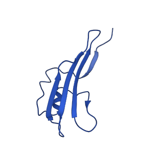 12546_7nri_E_v1-2
Structure of the darobactin-bound E. coli BAM complex (BamABCDE)
