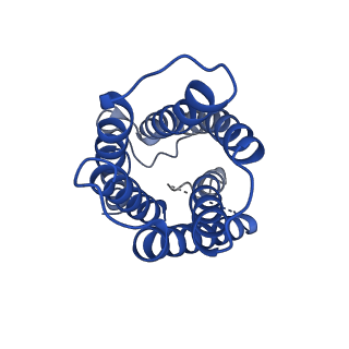 0498_6nsj_A_v1-1
CryoEM structure of Helicobacter pylori urea channel in closed state