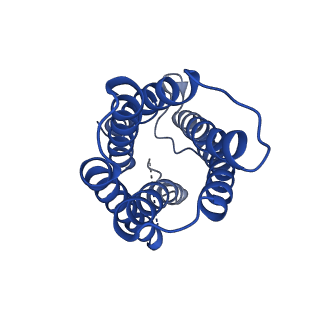 0498_6nsj_B_v1-1
CryoEM structure of Helicobacter pylori urea channel in closed state