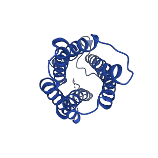 0498_6nsj_B_v1-2
CryoEM structure of Helicobacter pylori urea channel in closed state