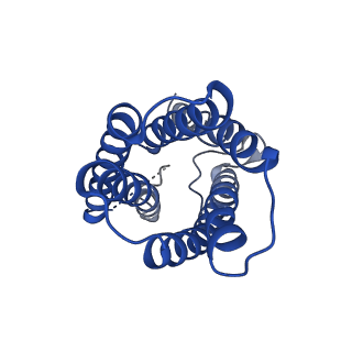 0498_6nsj_C_v1-2
CryoEM structure of Helicobacter pylori urea channel in closed state