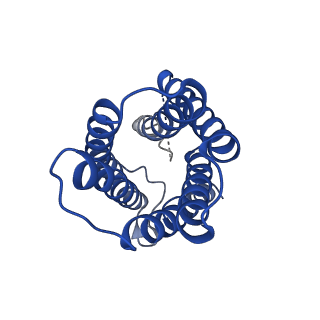 0498_6nsj_E_v1-2
CryoEM structure of Helicobacter pylori urea channel in closed state