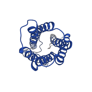 0498_6nsj_F_v1-1
CryoEM structure of Helicobacter pylori urea channel in closed state