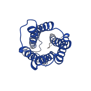 0498_6nsj_F_v1-2
CryoEM structure of Helicobacter pylori urea channel in closed state