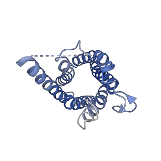 0499_6nsk_A_v1-2
CryoEM structure of Helicobacter pylori urea channel in open state.