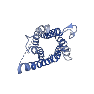 0499_6nsk_B_v1-2
CryoEM structure of Helicobacter pylori urea channel in open state.