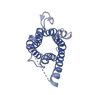0499_6nsk_C_v1-2
CryoEM structure of Helicobacter pylori urea channel in open state.
