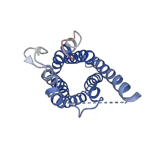 0499_6nsk_D_v1-3
CryoEM structure of Helicobacter pylori urea channel in open state.