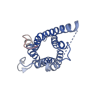 0499_6nsk_E_v1-2
CryoEM structure of Helicobacter pylori urea channel in open state.