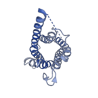 0499_6nsk_F_v1-2
CryoEM structure of Helicobacter pylori urea channel in open state.