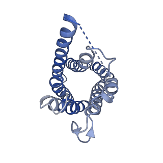 0499_6nsk_F_v1-3
CryoEM structure of Helicobacter pylori urea channel in open state.